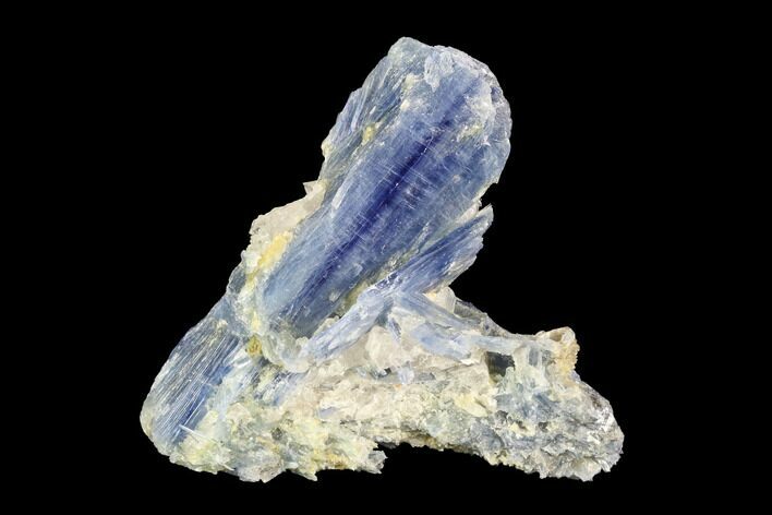Vibrant Blue Kyanite Crystal Cluster - Brazil #95592